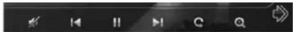 Screenshot of a media player control bar with playback, pause, pause, C, and search icons