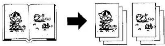 Illustration showing a book with cartoon animals transforming into two stacked books, likely illustrating a concept or transformation.