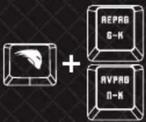 REPRG 6-K AVPRG II-K