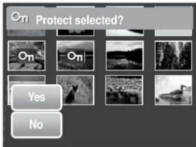 On Protect selected? On On Yes No