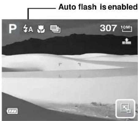 Auto flash is enabled. P 红 A 307 10M