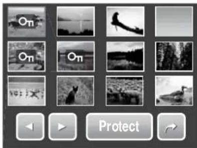 On On On Protect