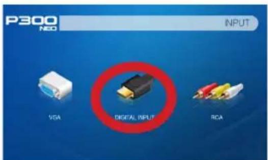 P300 NCO INPUT VGA DIGITAL INPUT RCA