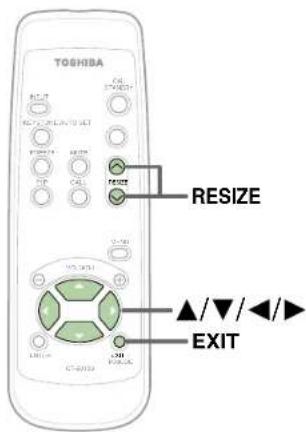 TOSHIBA RESET EXIT