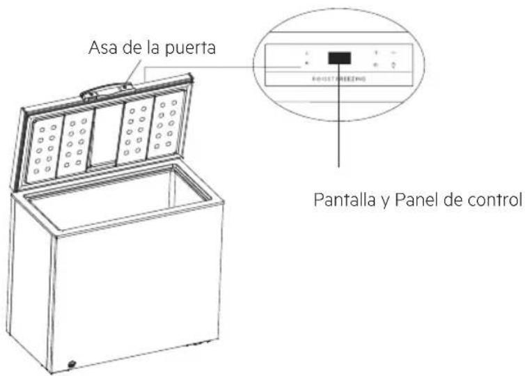 Asa de la puerta Pantalla y Panel de control