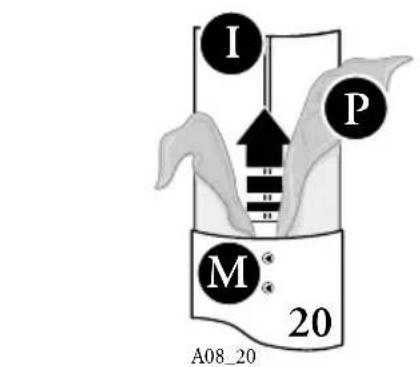 I P M* 20 A08_20
