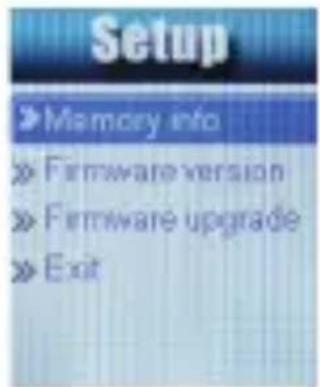 Setup »Memory info »Firmware version »Firmware upgrade »Exit