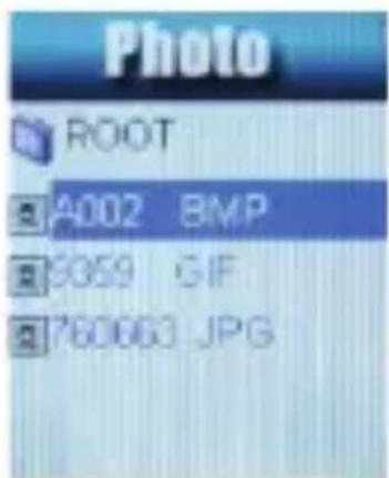 Photo ROOT A002 BMP 5059 GIF 760003 JPG
