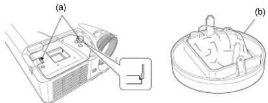 Technical line drawing of a projector with labeled components (a) and (b), showing internal structure without any text or symbols.