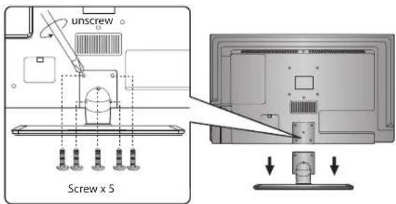 unscrew Screw x 5