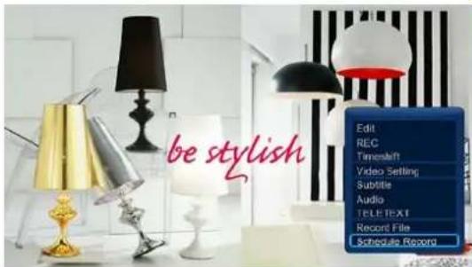 be stylish Edit REC Timeshift Video Setting Subtitle Audio TELE TEXT Record File Schedule Record