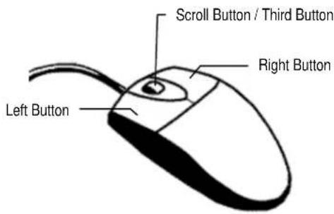 Scroll Button / Third Button Right Button Left Button