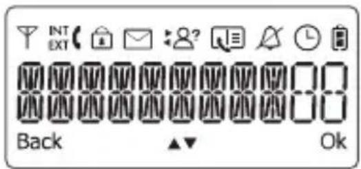 INT EXT Back Ok