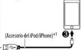 (Accesorio del iPod/iPhone)*1 ③