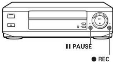 II PAUSE ● REC