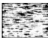 SONY SLV-675HF PX - Symptoms caused by contaminated video heads - 4