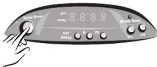 Delay Brue pm delay 8:8:8:8 set delay h m Brew Now on off