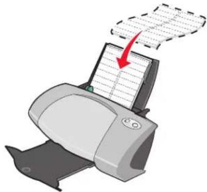 LEXMARK P700 - Paso 1: Carga de etiquetas - 1