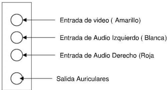 BELSON BSV-2953TXT - EURO-CONECTOR ( SCART) - 2