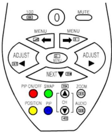 100 MUTE MENU MENU ADJUST MENU ADJUST NEXT PIP ON/OFF SWAP ZOOM POSITION PIP [CH] AUDIO