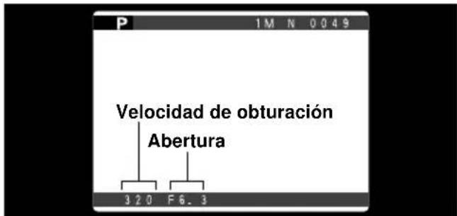 FUJIFILM FinePix 6900 Zoom - Desplazamiento del programa - 1