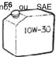F6 no, ou SAE 10W-30
