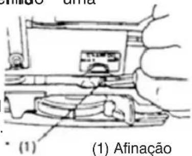 (1) Afinação