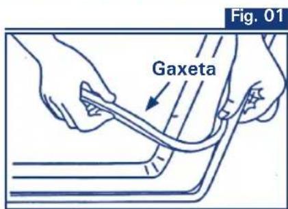 Gaxeta Fig. 01