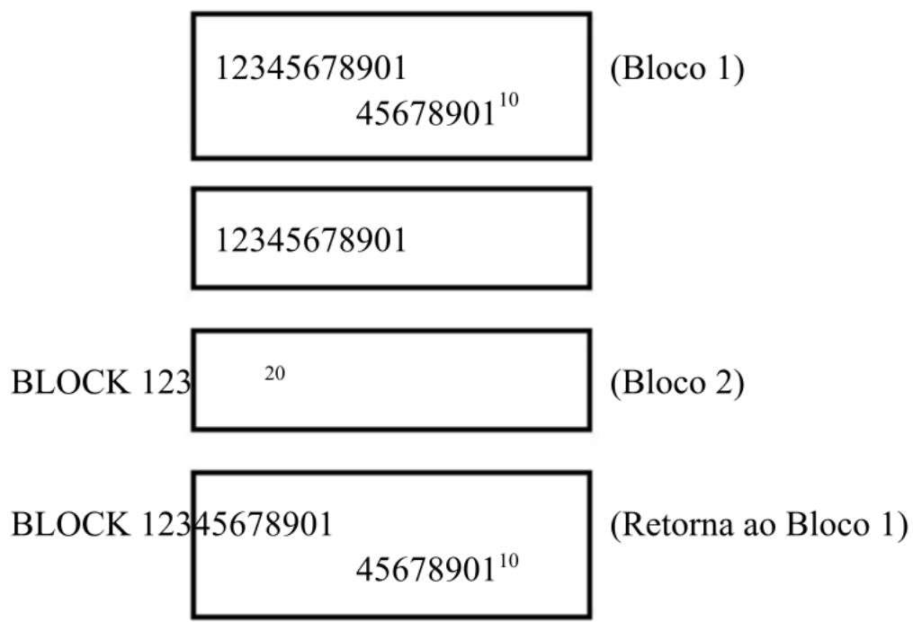 12345678901 45678901¹⁰ (Bloco 1) 12345678901 BLOCK 123 ²⁰ (Bloco 2) BLOCK 12345678901 45678901¹⁰ (Retorna ao Bloco 1)