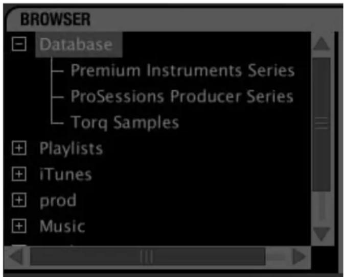 BROWSER Database Premium Instruments Series ProSessions Producer Series Torq Samples Playlists iTunes prod Music
