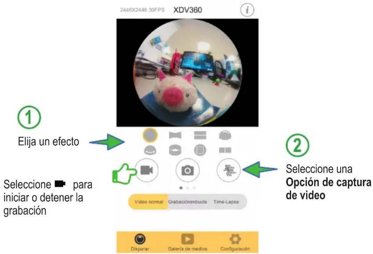 2448X2448 30FPS XDV360 ① Elija un efecto Seleccione - para iniciar o detener la grabación ② Seleccione una Opción de captura de video Video normal Grabaciónenbucle Time-Lapse Disparar Gallería de medios Configuración
