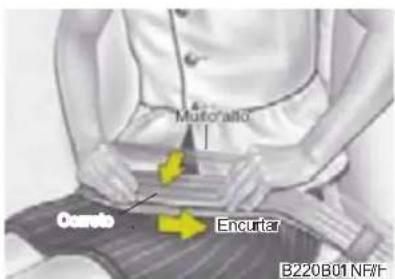 Motoralto Cosmio Encurtar B220B01 NF/F