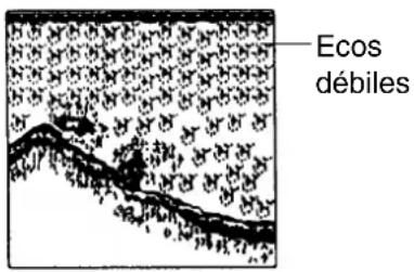 Ecos débiles