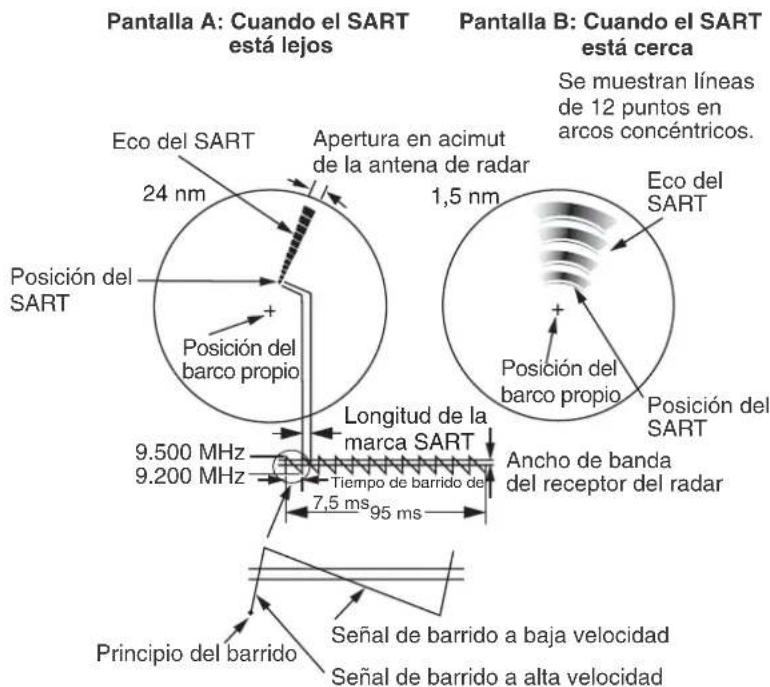 Pantalla A: Cuando el SART está lejos Eco del SART 24 nm Posición del SART + Posición del barco propio 9.500 MHz 9.200 MHz Apertura en acimut de la antena de radar 1,5 nm Longitud de la marca SART Tiempo de barrido de 7,5 ms 95 ms Principio del barrido Señal de barrido a baja velocidad Señal de barrido a alta velocidad Pantalla B: Cuando el SART está cerca Se muestran líneas de 12 puntos en arcos concéntricos. Eco del SART Posición del barco propio Posición del SART Ancho de banda del receptor del radar
