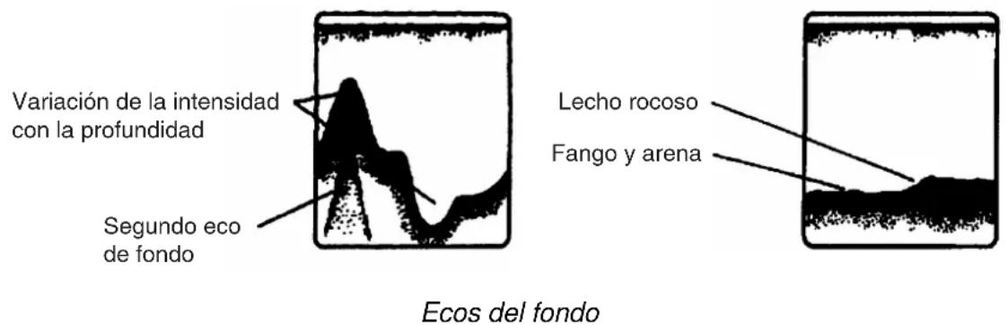 FURUNO 1954C - Eco del fondo - 1
