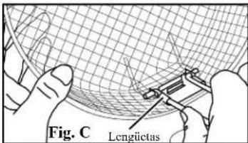 Fig. C Lengüctas