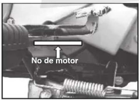No de motor