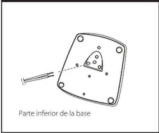 Parte inferior de la base