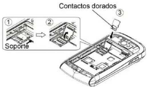 Contactos dorados ① Soporte ② ③
