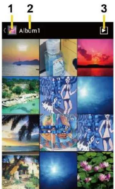 1 2 3 Album1