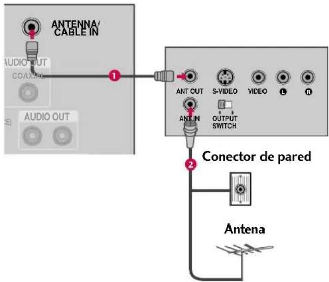 ANTENNA/ CABLE IN AUDIO OUT COAXIN 1 AUDIO OUT ANT OUT S-VIDEO VIDEO L R OUTPUT SWITCH 2 Conector de pared Antena
