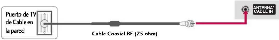 Puerto de TV de Cable en la pared Cable Coaxial RF (75 ohm) ANTENNA/ CABLE IN