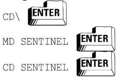 CD\ ENTER MD SENTINEL ENTER CD SENTINEL ENTER