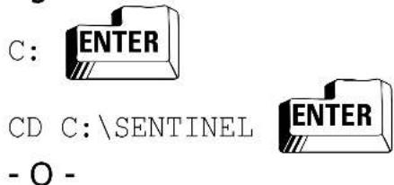 C: ENTER CD C:\SENTINEL - O -