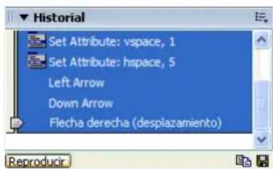 ADOBE Dreamweaver MX 2004 - Customer Service - 1