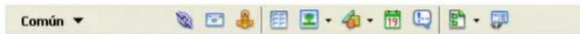ADOBE Dreamweaver MX 2004 - Barra Insertar - 1