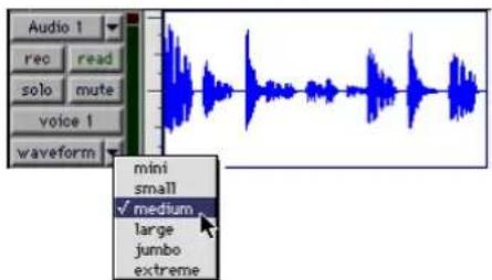 Avid Pro Tools 5.1 - Selector de altura de pista - 1