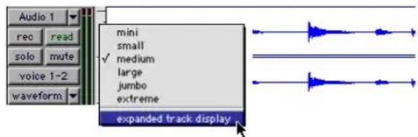 Avid Pro Tools 5.1 - Presentación de pista expandida - 3