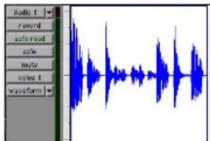 Avid Pro Tools 5.1 - Controles de pista y altura de pista - 3