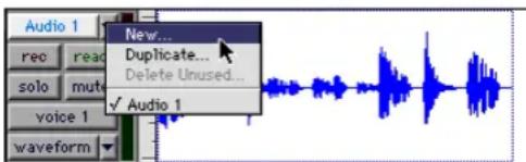 Avid Pro Tools 5.1 - Grabación de tomas adicionales - 6
